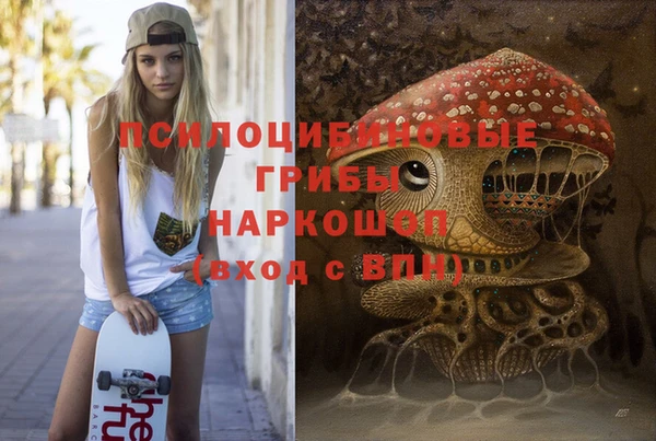 спиды Армянск