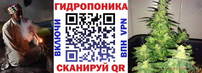 Бошки Шишки White Widow  Великий Устюг 